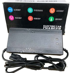 SẠC PIN 48V30A XE ĐẠP ĐIỆN, XE BA BÁNH ĐIỆN