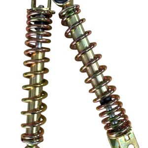 GIÒ GÀ CHO PHUỘC TRƯỚC XE BA BÁNH ĐIỆN