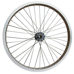 CĂM NIỀN 20 XE BA BÁNH ĐIỆN