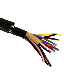 z6839415509526 84cfc24fb2614e627a107ccaae6caac7 Photoroom