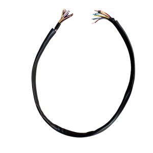 BỘ DÂY ĐIỆN NGUỒN XE BA BÁNH ĐIỆN